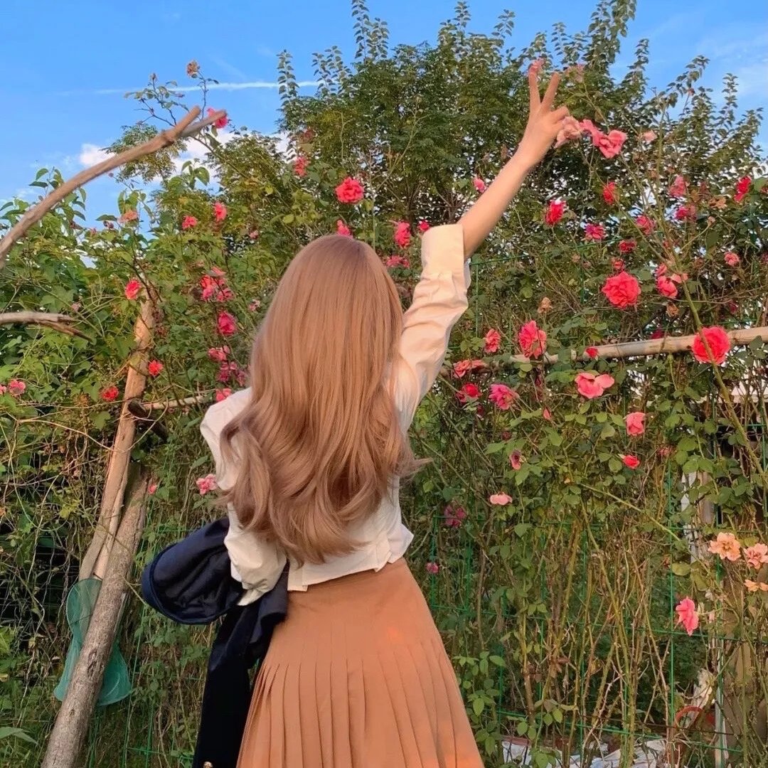 暗芝居第五季